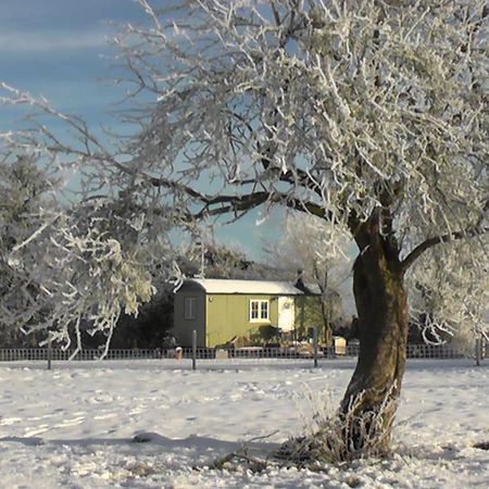 The Abberton Shepherds Hut Evesham Exteriör bild